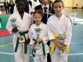 karate-2017-3